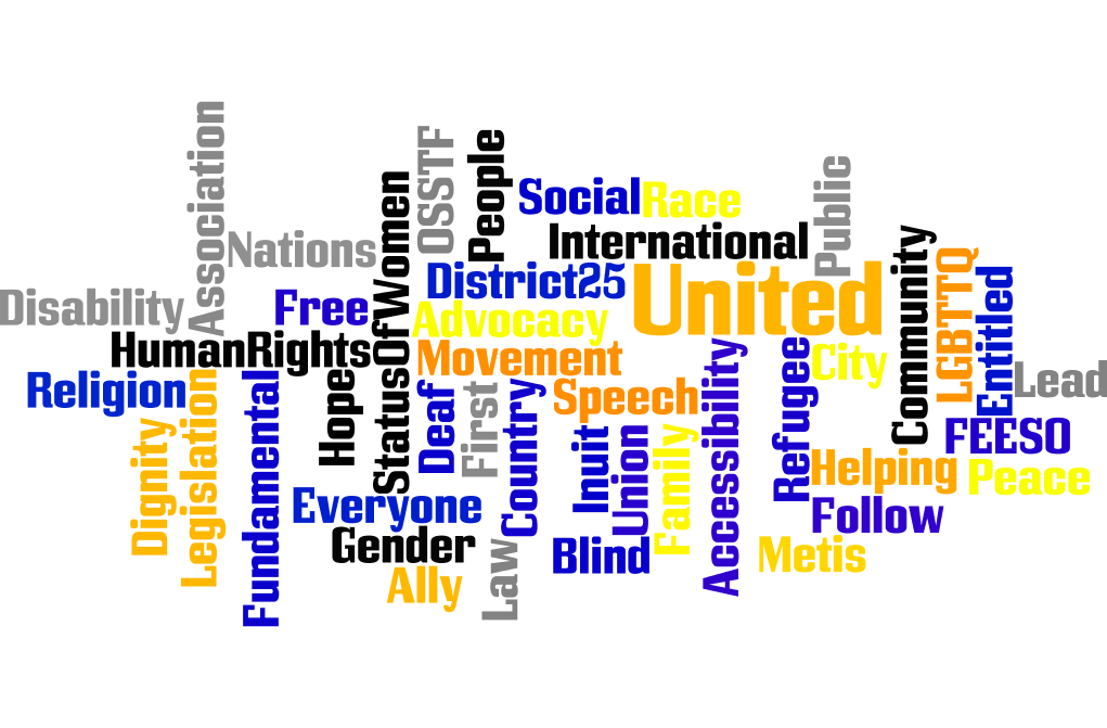 D25 Status of Women & Human Rights Logo
